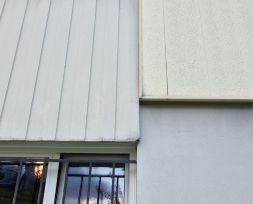 Renovation Facade Fenetre Mont Sur Rolle Avant