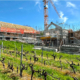 Chantier Immeubles Charmilles Ecublens Vignes Grue